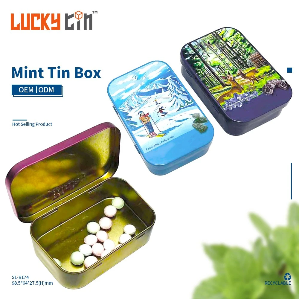 Wholesale Hinged Lid Tinplate Box Storage Container Rectangular Metal Packaging Food Grade Mint Tin Can for Mint