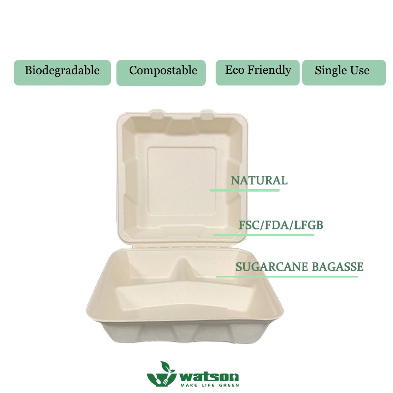 Compostable Eco-Friendly Paper Pulp Sugarcane Bagasse Food Container Biodegradable Takeaway Clamshell Envases Disposable Food Packaging with Lid