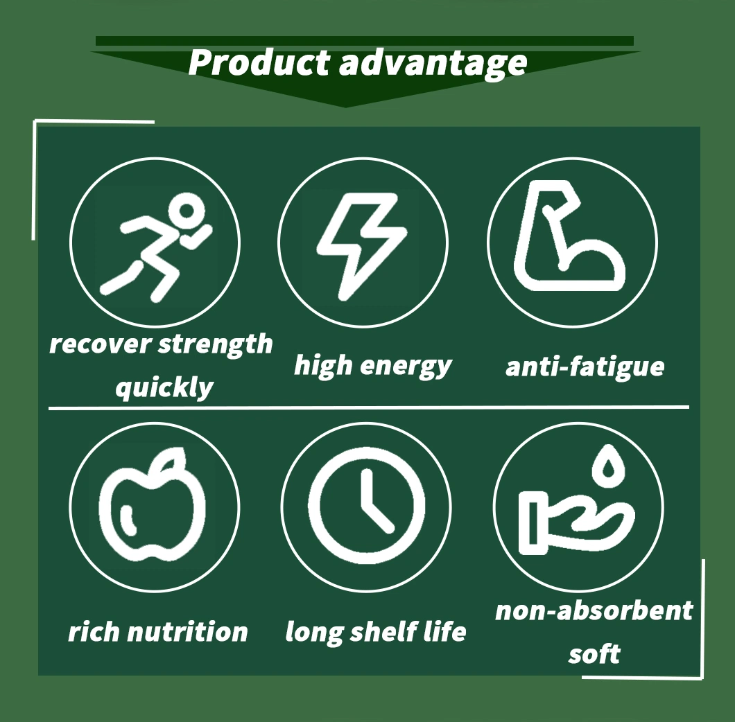 Survival Outdoor Multivitamin and Minerals High Energy Food Biscuits/Bars