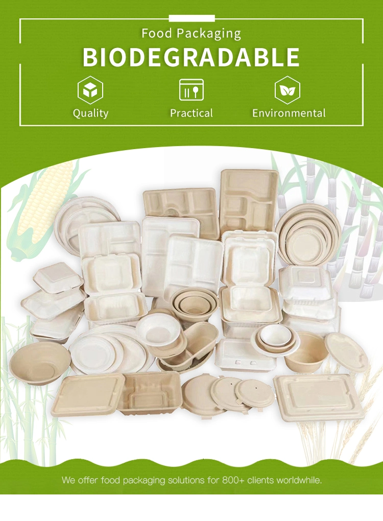 Takeaway Boxes Food Biodegradable Box Fast Food Boxes Takeaway Packaging