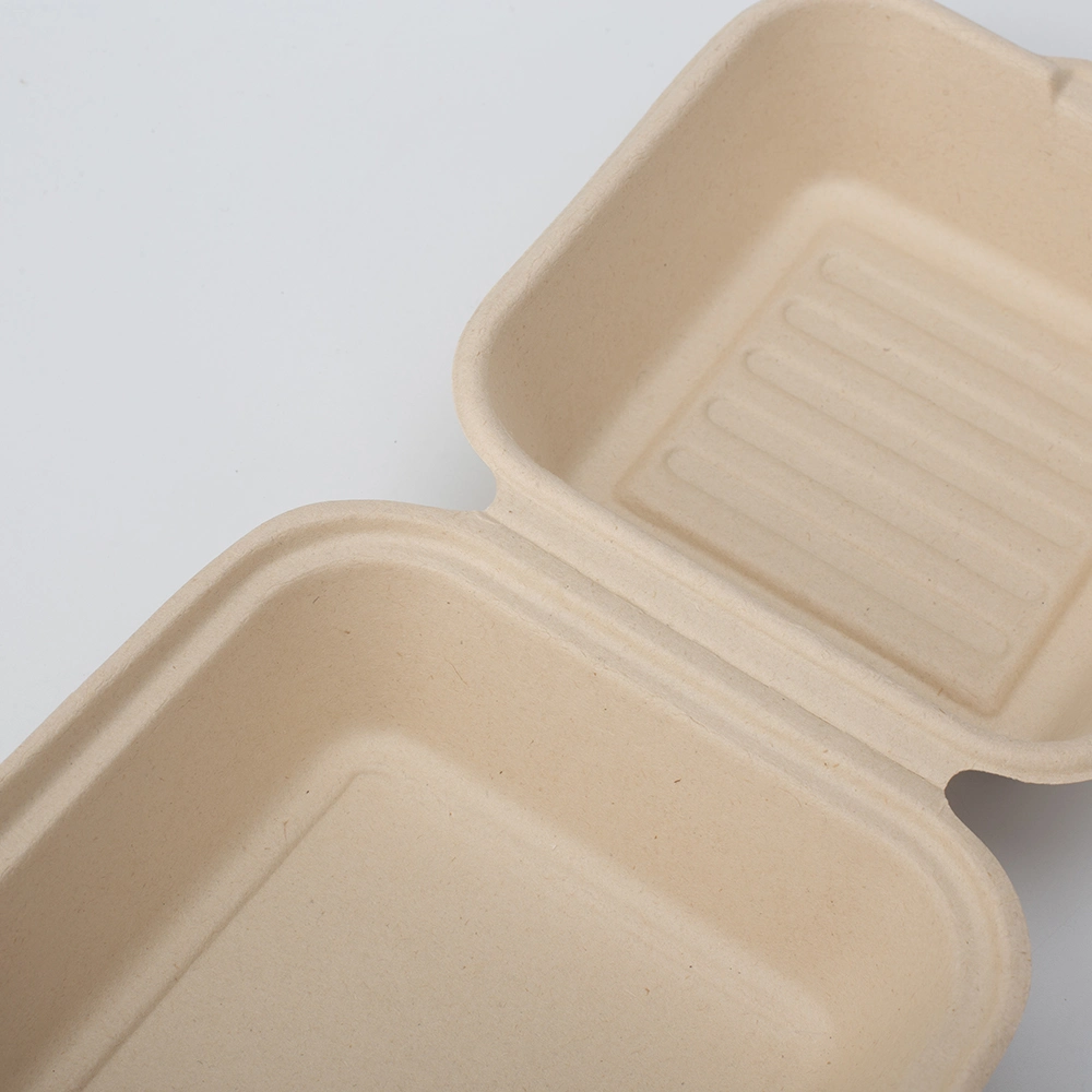 Natural or White Disposable Biodegradable Bagasse Paper Hamburger Box Food Packaging