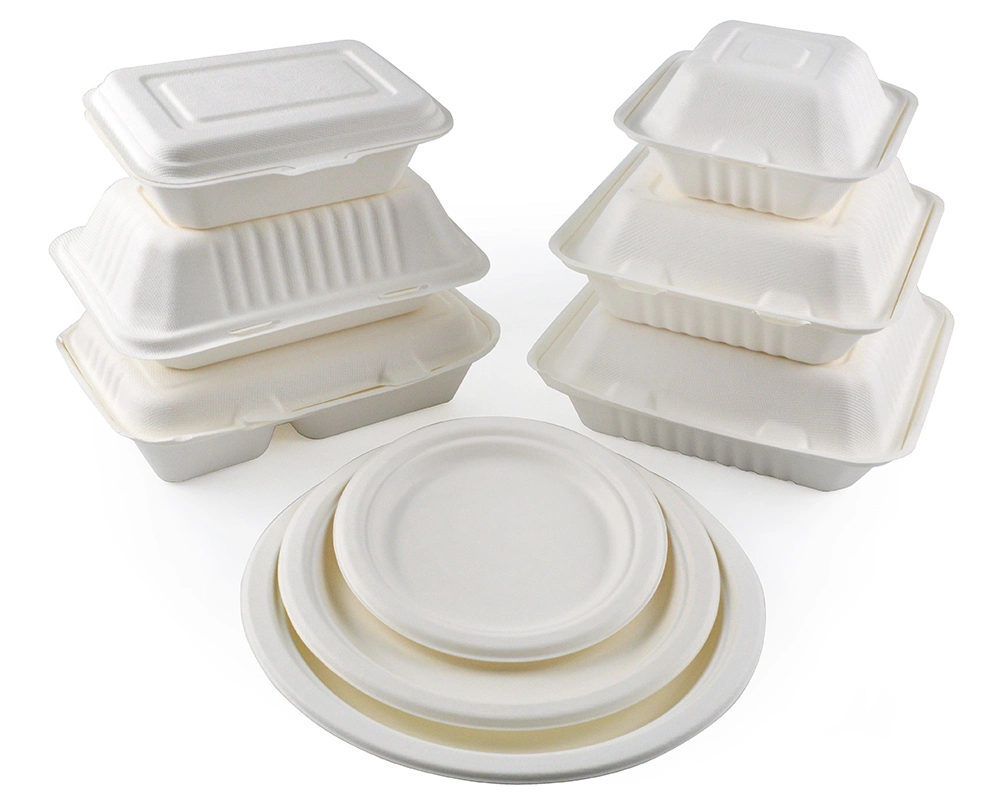 Takeaway Boxes Food Biodegradable Box Fast Food Boxes Takeaway Packaging