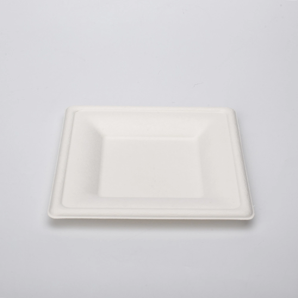 Biodegradable Disposable Food Paper Plates Food Grade Bagasse Packaging for Snack Bagasse Food Container Plate