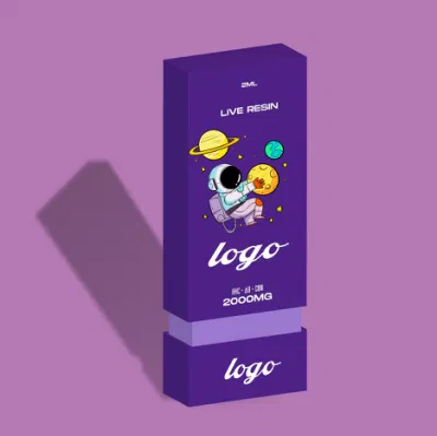 Пользовательские Makeon упаковки для одноразового пластика E-сигареты Vape Роскошный подарок картон 510 картриджа аккумулятора Premium испаритель сдвинув лоток для обеспечения безопасности детей в салоне