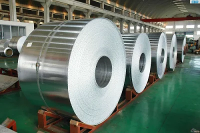  EN10202 ASTM A623 TFS Стальная катушка без оловянного хрома ECCS Пластина из мелованной стали для пищевых продуктов