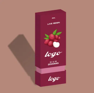 Пользовательские Makeon упаковки для одноразового пластика E-сигареты Vape Роскошный подарок картон 510 картриджа аккумулятора Premium испаритель сдвинув лоток для обеспечения безопасности детей в салоне