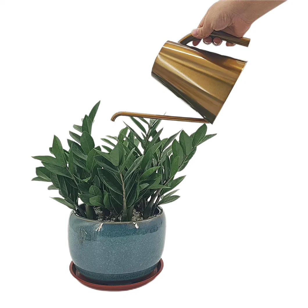 1.3L 44oz Large Capacity Bronze Coated Stainless Steel Metal Watering Can for Plants with Long Spout Easy Houseplant Watering