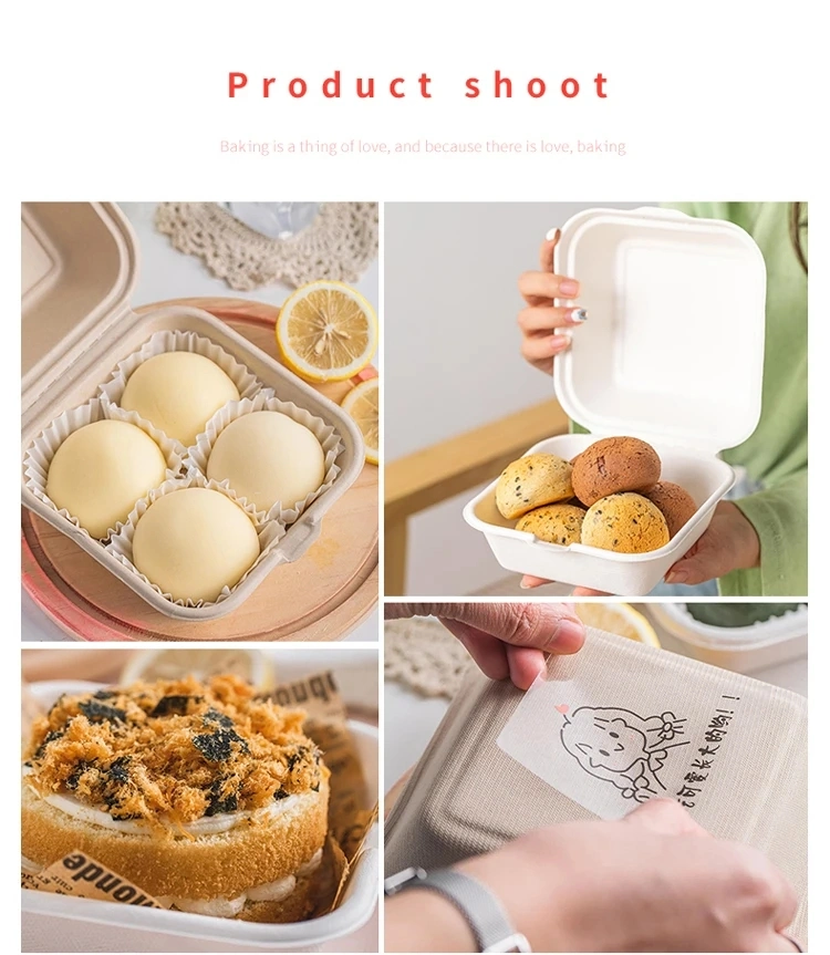 Eco Food Packaging Biodegradable Take Away Boxes Compostable Disposable Food Container