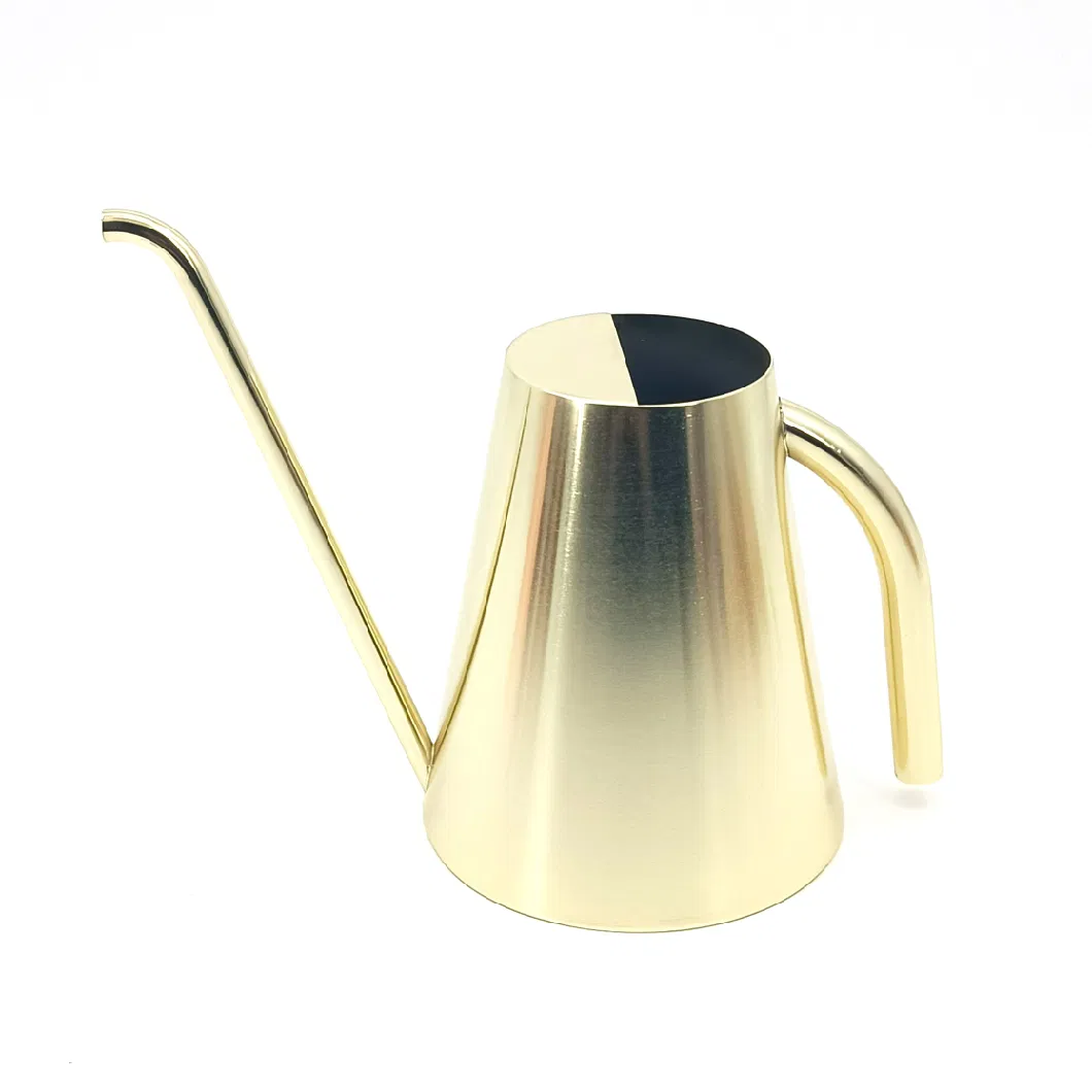 Decorative Farmhouse Gold Stainless Steel Indoor Plant Watering Can Pot Metal with Long Spout for Easy Watering