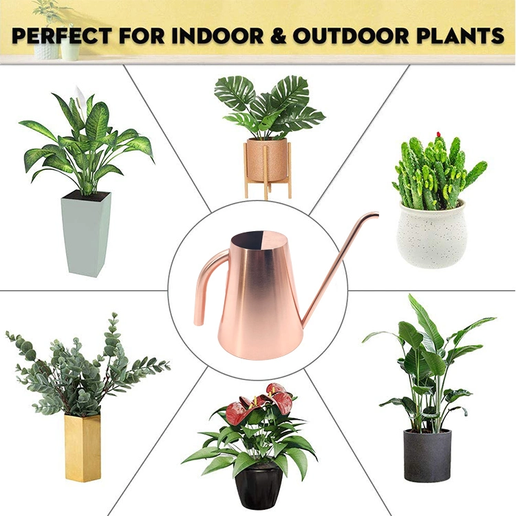 Decorative Rose Gold Plated Watering Can 1.3L with Long Spout for House Plant Garden Flower Metal Stainless Steel Watering Can