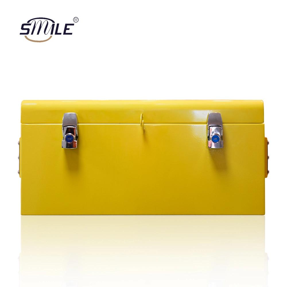 Smile Factory Supplier Sell Customized Designed Rectangular Metal Tool Case / Tool Box with Lock and Handle