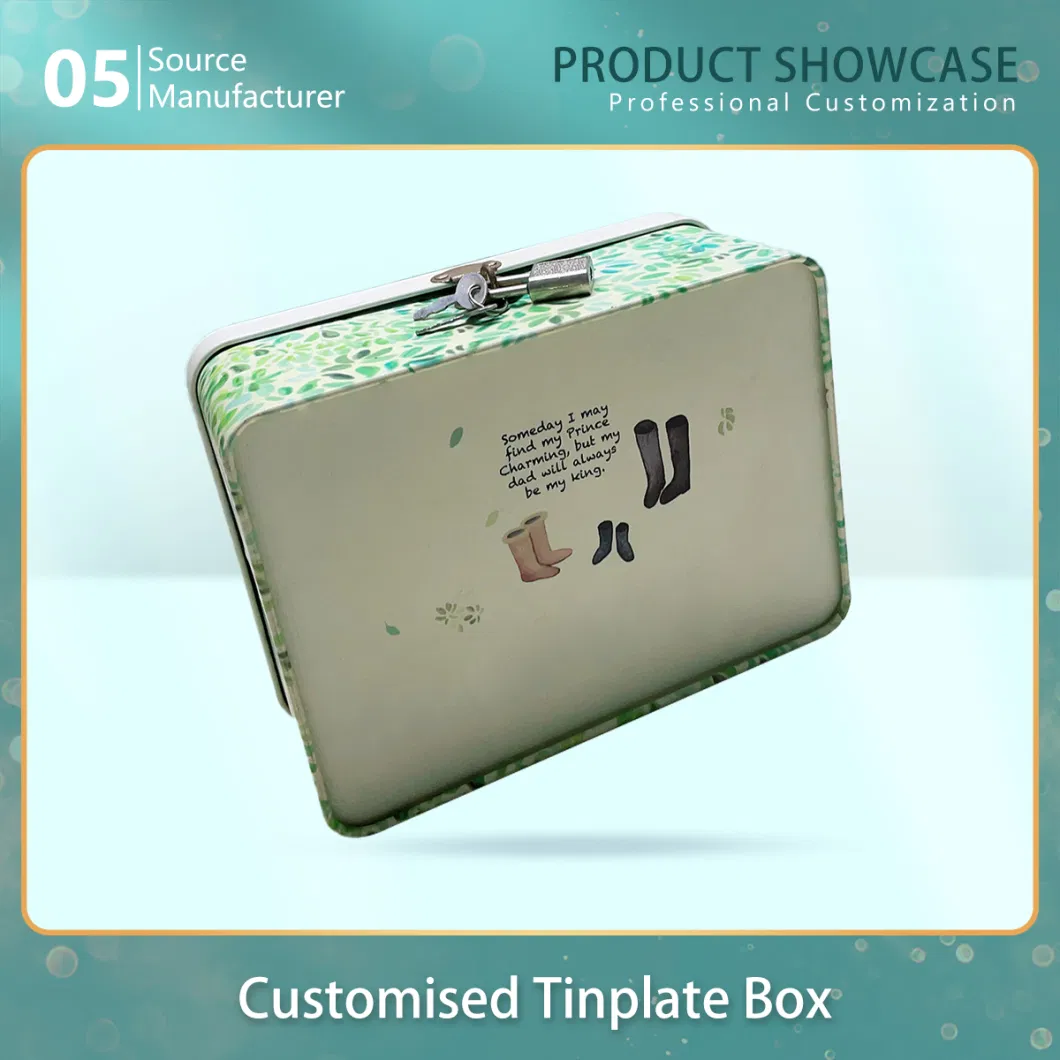 Fresh Food Universal Tinplate Mini Tin Box with Lock Storage Box