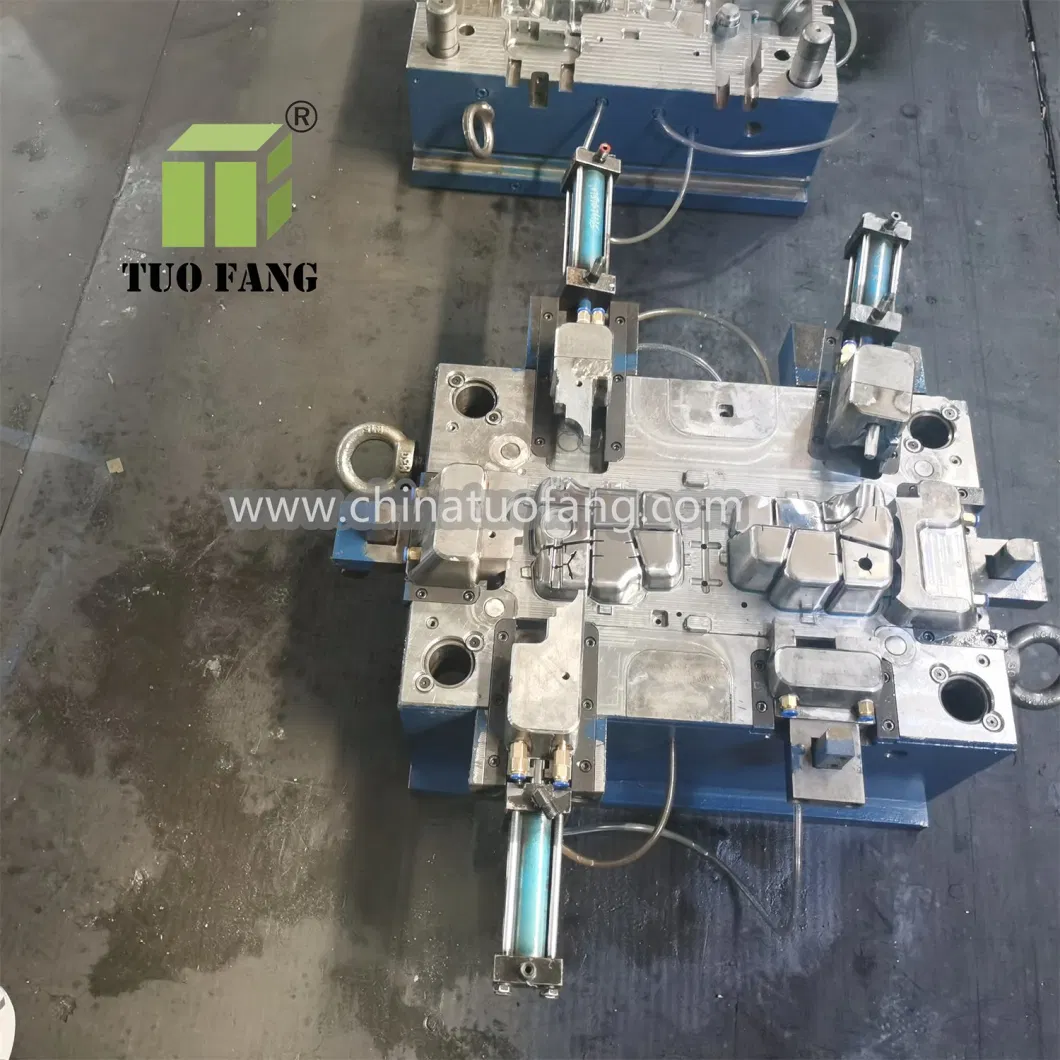 Customizable Mold Design for Engine Coolant Tank Water Tank Injection Mould