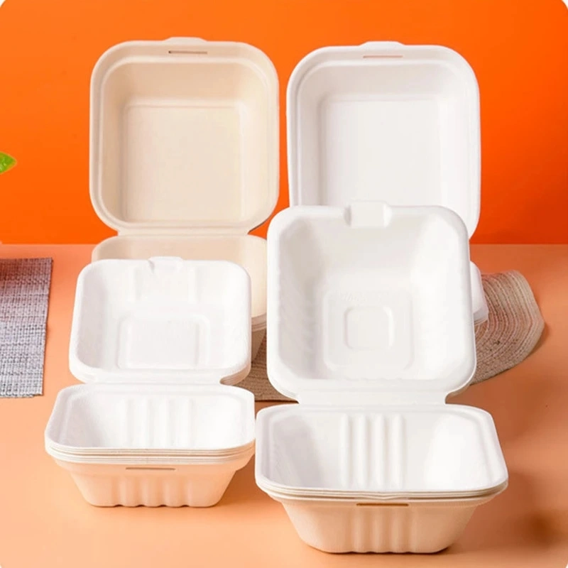 Eco Food Packaging Biodegradable Take Away Boxes Compostable Disposable Food Container