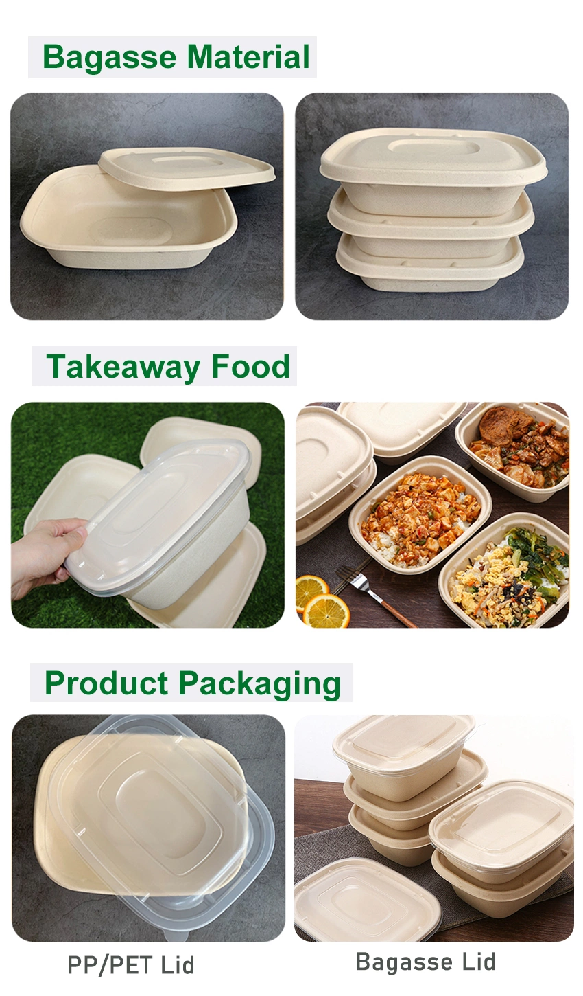 Single-Use 32oz Biodegradable Food Container Paper Lunch Box Burger Compostable Takeaway Sugarcane Disposable Food Packaging