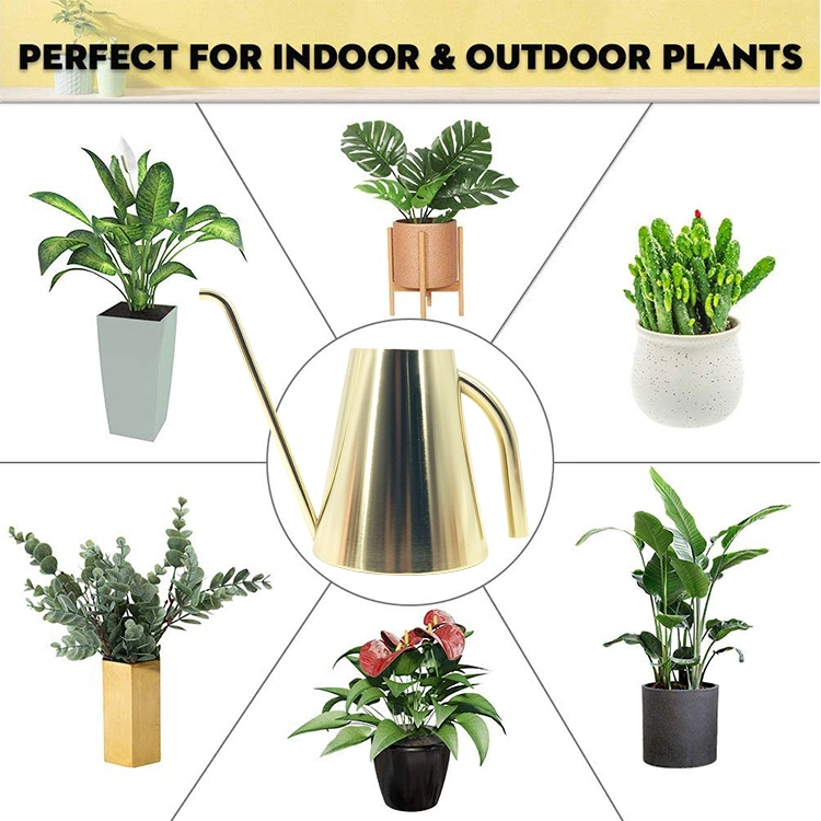 Decorative Farmhouse Gold Stainless Steel Indoor Plant Watering Can Pot Metal with Long Spout for Easy Watering