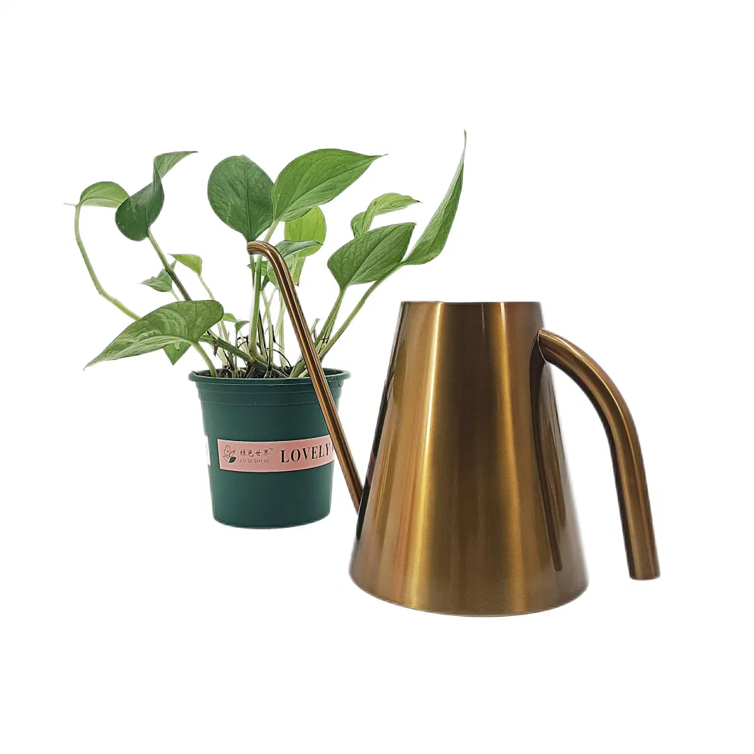 1.3L 44oz Large Capacity Bronze Coated Stainless Steel Metal Watering Can for Plants with Long Spout Easy Houseplant Watering