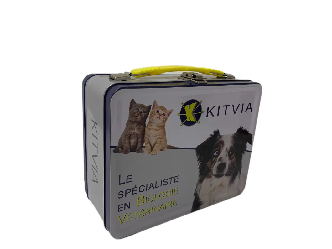 High Quality Rectangle Shape Suitcase Tin Box with Handle Custom Metal Lunch Box Cat Dog Food Packaging Tin