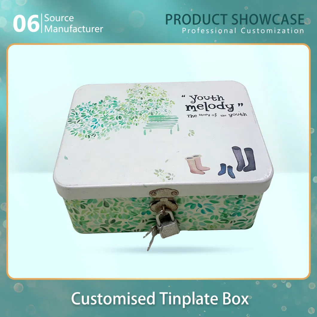 Fresh Food Universal Tinplate Mini Tin Box with Lock Storage Box