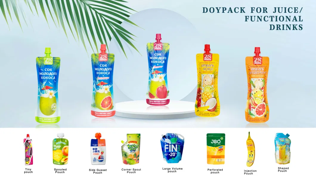 Dq Pack Biodegradable Reusable Stand up Plastic Custom Drink Packaging with Handle