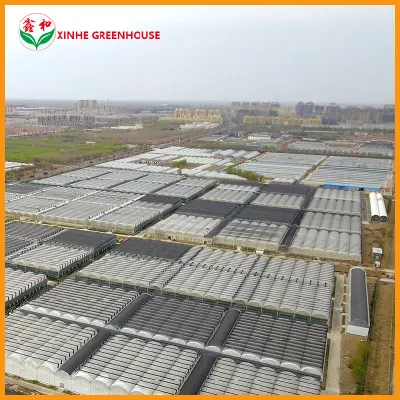 480 Square Metres with Galvanized Steel Pipe