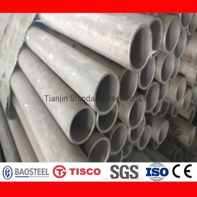 AISI Ss 309 309S Seamless Stainless Steel Pipe for Boiler