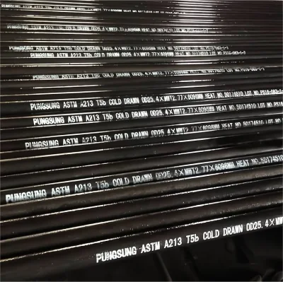 ASTM A213 Same SA213 T5 T9 T11 T12 T21 T22 High Quality Heat Exchanger Alloy Seamless Round Steel Pipe Boiler Straight Tubes