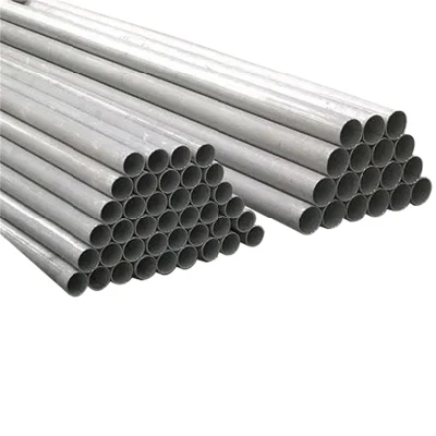 Seamless ASTM A213 Tp316 Stainless Steel Pipe for Petrochemical Plants
