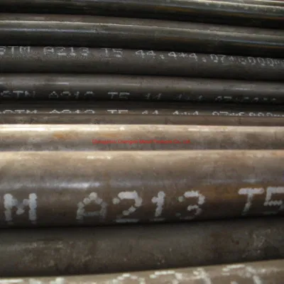 ASTM A213 de la ASME SA213 T5 T9 T11 T12 T22 T23 T91 en frío laminados en frío dibujan perfecta aleación de acero, tubo de caldera, normalizado y templado