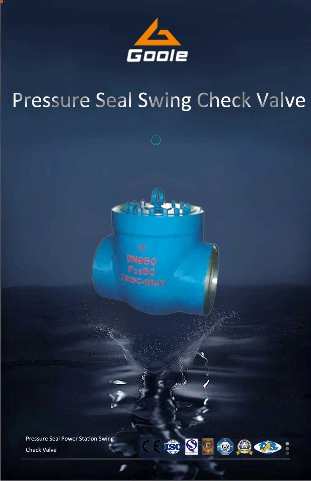 High Pressure Flanged Ends Pressure Seal Bonnet Swing Check Valve