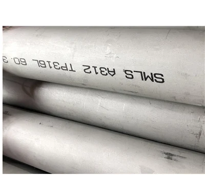 Tubo in acciaio inox 316L/304 tubo in acciaio senza saldatura da 10 pollici per parete pesante