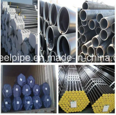 ASME SA335m P1 P12 P5 P91 tubo senza saldatura in acciaio legato Tubo di Bolier