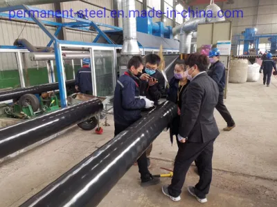 SEGA/sega API 5L tubo in acciaio al carbonio con saldatura a spirale gas naturale E oleodotto