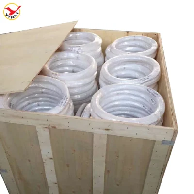 Tubo composito ad alta pressione per alte temperature SAE100 R14 PTFE flessibile Tubo flessibile
