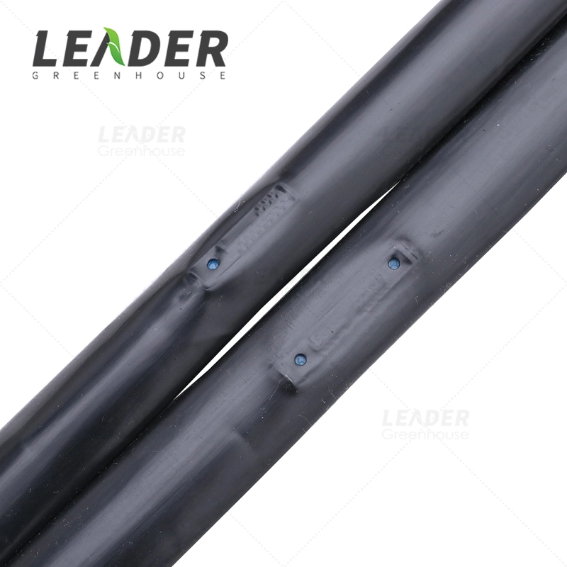 Drip Irrigation System Supply Drip Irrigation Tape Pipe for Vegetable