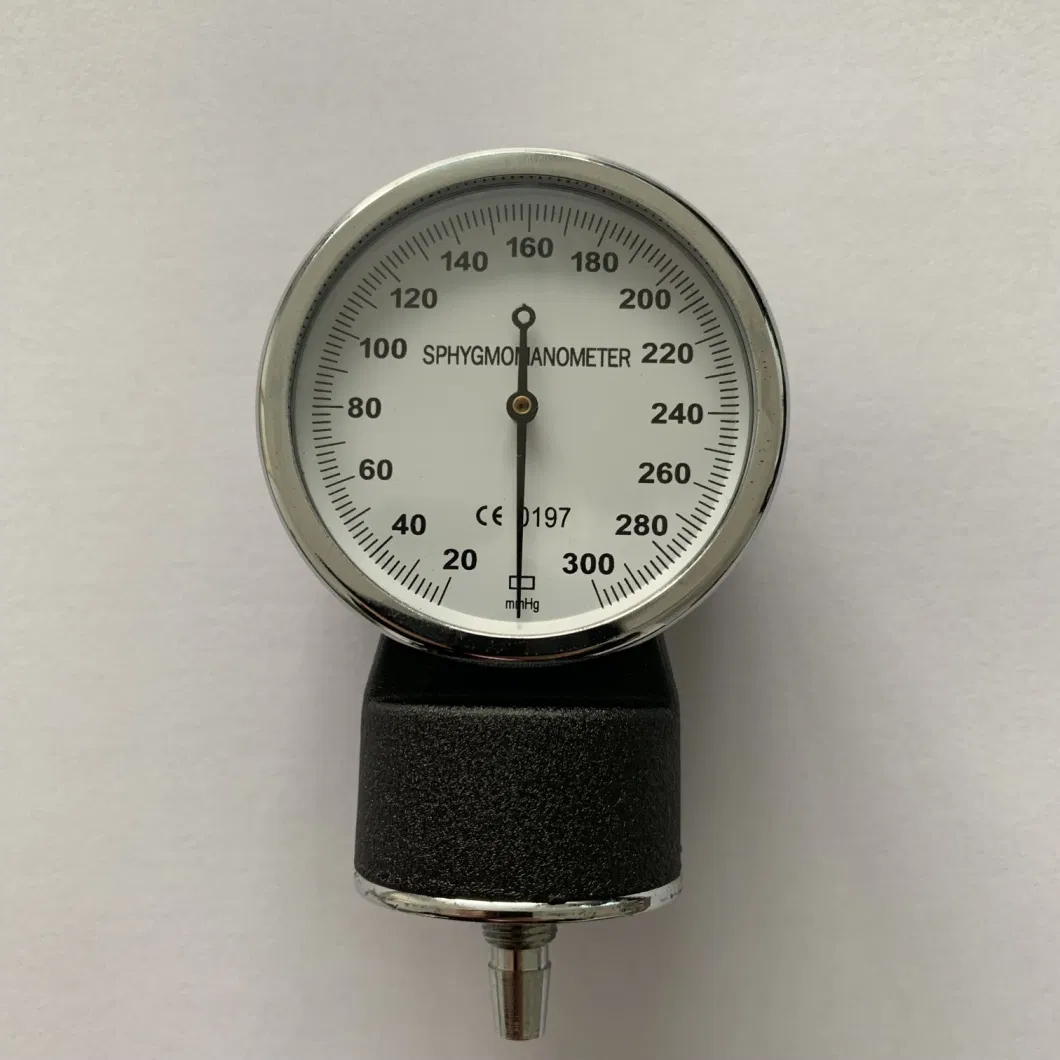 Blood Pressure Economical Aneroid Sphygmomanometer