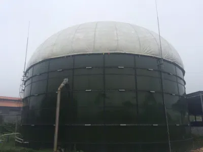 Питание отходов Cstr биогаза анаэробный реактор/Digester/Fermenter/Продюсер завод
