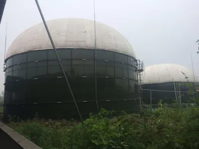 Питание отходов Cstr биогаза анаэробный реактор/Digester/Fermenter/Продюсер завод