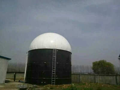 Питание отходов Cstr биогаза анаэробный реактор/Digester/Fermenter/Продюсер завод