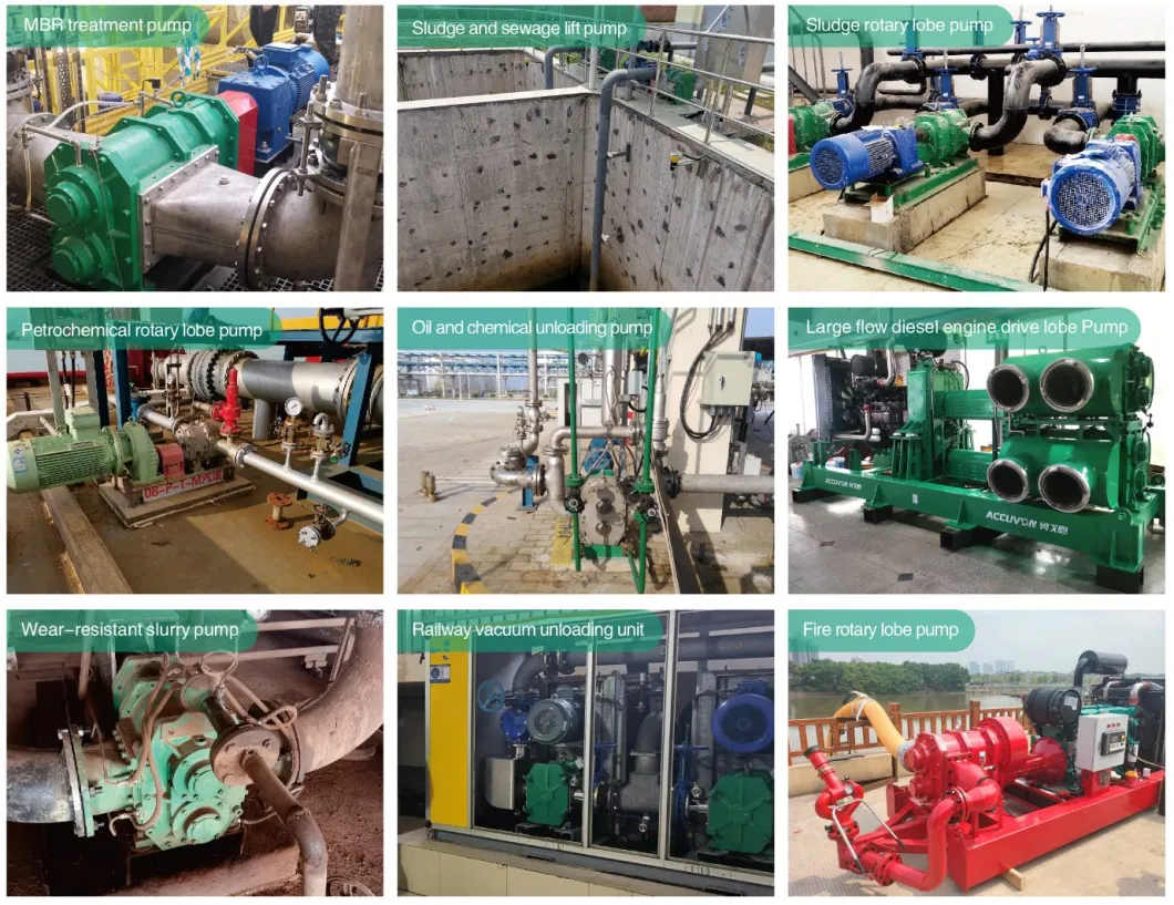 Membranes Treatment Rubber Sludge Wastewater Lobe Pump Permeate Pump