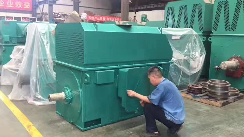 Chemical Pump High -Voltage Explosion -Proof Motor/Paper Factory High -Voltage Motor