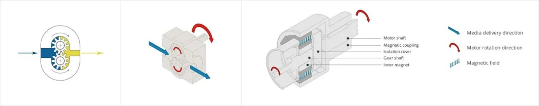 OEM/ ODM Self Priming High Pressure Pump Stainless Steel High Corrosion Resistant Micro Magnetic Gear Pump Factory