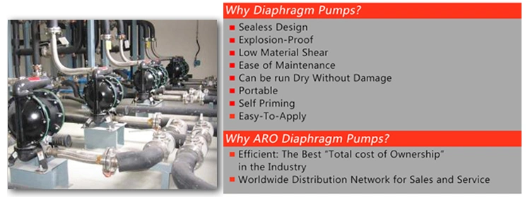 Aro High Pressure Self Priming Water Pneumatic Pump Air Driven Double Diaphragm Pump