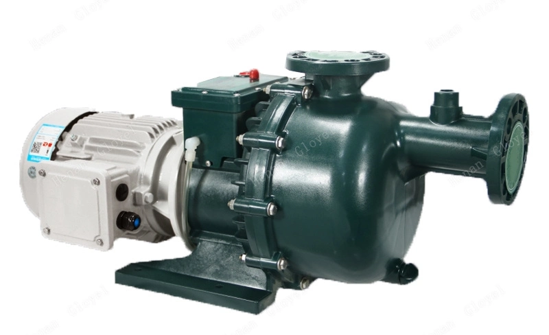 Self Priming Anti Acid Alkali Resistant Pump in Chemical Industry for Mining Slurry