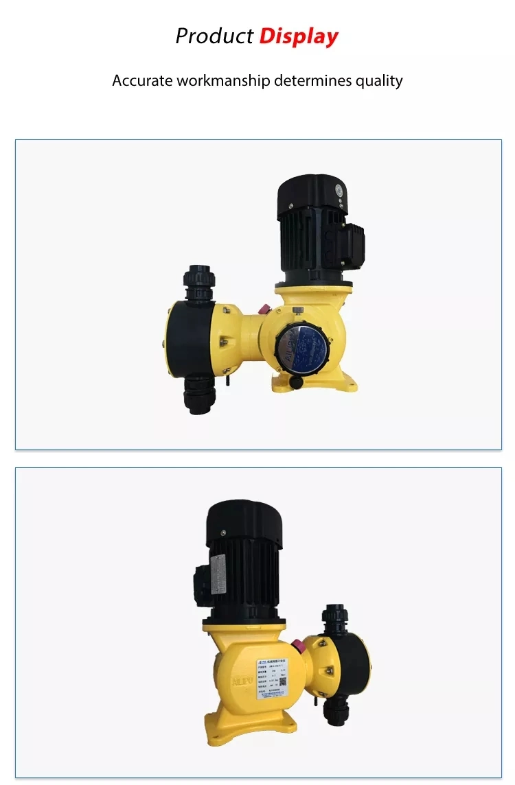 Vertical Pump Diaphragm Metering Pump Chlorine Injection Pump