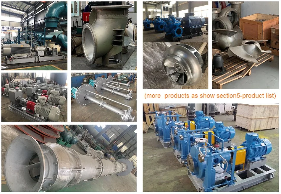 Electric Explosion Proof Corrosion Resistant Direct Coupling Horizontal Centrifugal Chemical Pump