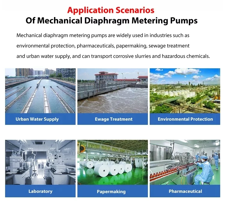 Vertical Pump Diaphragm Metering Pump Chlorine Injection Pump