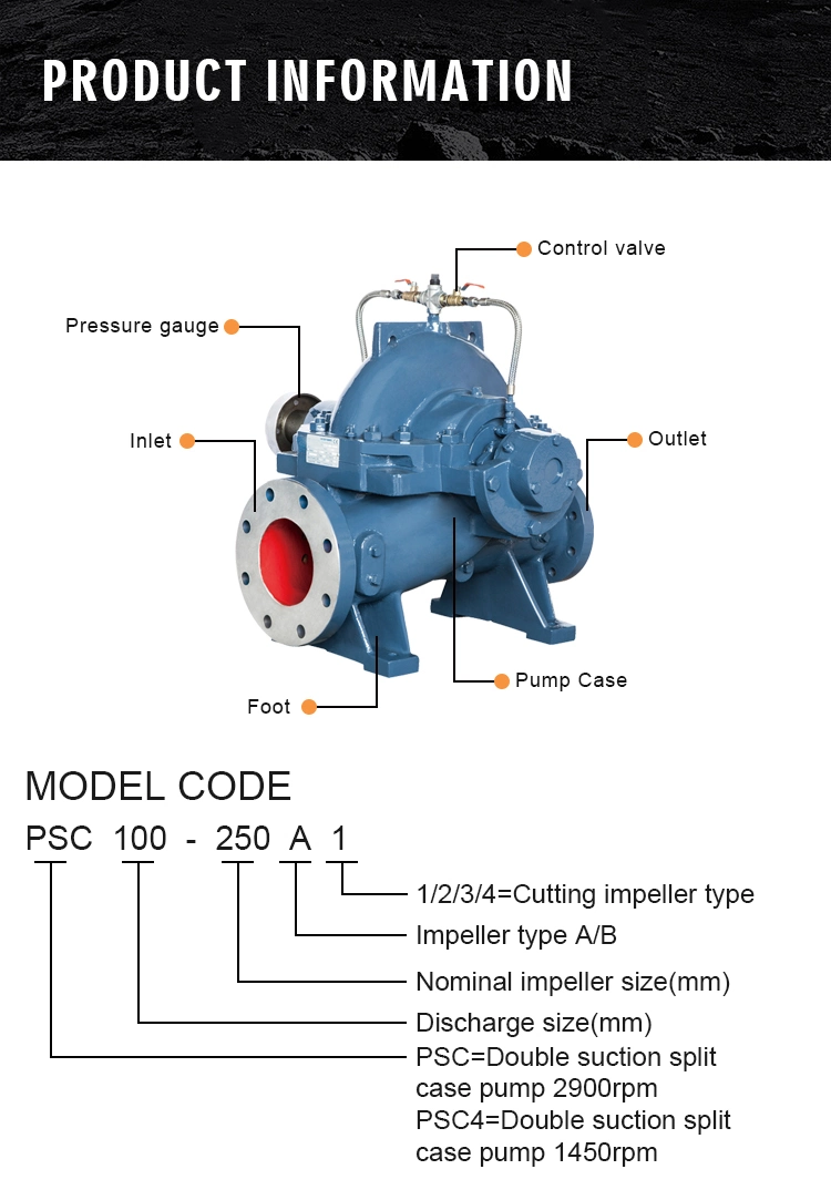 Large Flow Double Suction Industrial Water Split Case Pumps for Irrigation