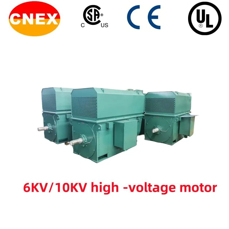 Chemical Pump High -Voltage Explosion -Proof Motor/Paper Factory High -Voltage Motor