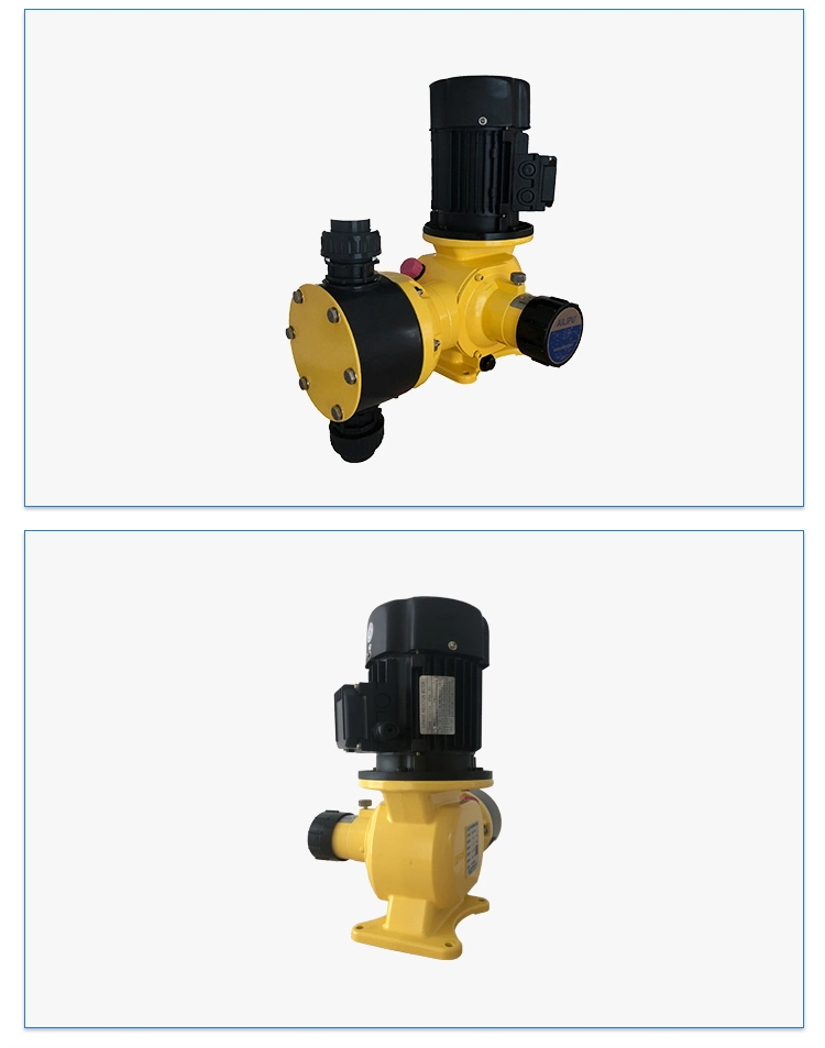 Vertical Pump Diaphragm Metering Pump Chlorine Injection Pump